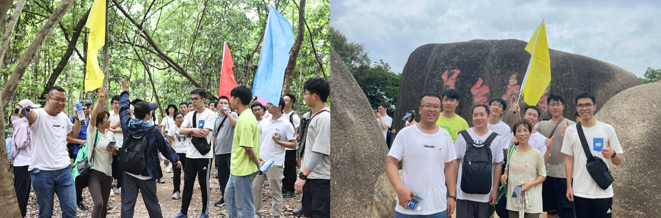 國(guó)微|微電子|芯片